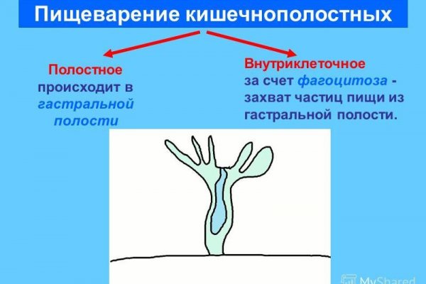 Kraken 12 at сайт