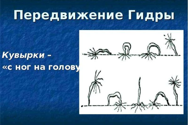 Супернет вход